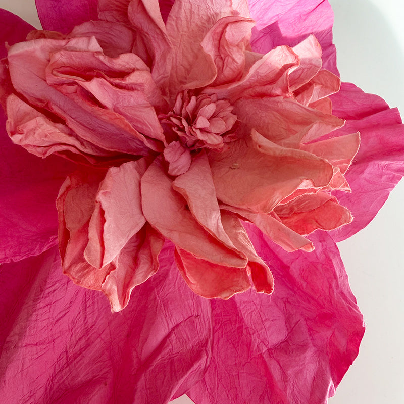 Camelia Paper Flower Soft Pink