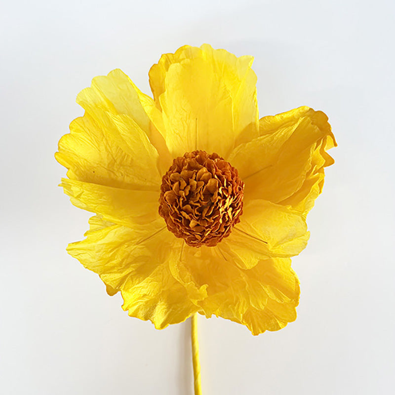 Hellenium Paper Flower Yellow