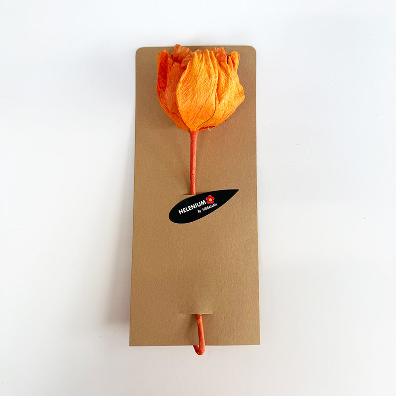 Hellenium Paper Flower Orange