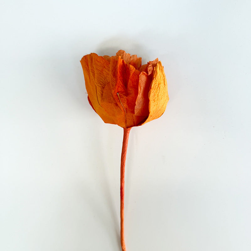 Hellenium Paper Flower Orange