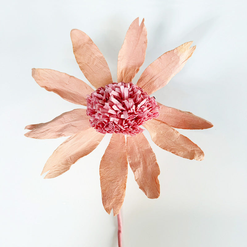 Echinacea Paper Flower Salmon