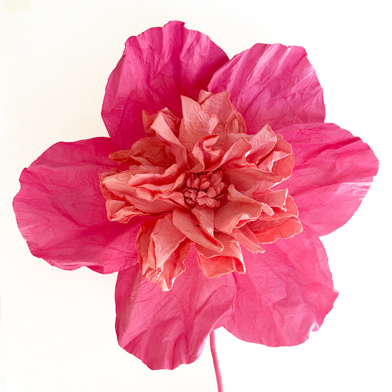 Camelia Paper Flower Soft Pink