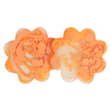 Find Cecilia Coasters Set of 2 Persimmon - Sage & Clare at Bungalow Trading Co.