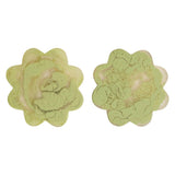 Find Cecilia Coasters Set of 2 Pistachio - Sage & Clare at Bungalow Trading Co.