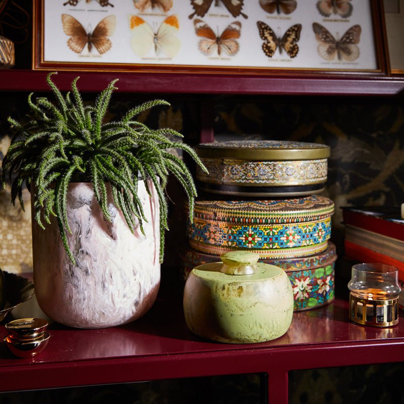 Find Halleck Canister Pistachio - Sage & Clare at Bungalow Trading Co.