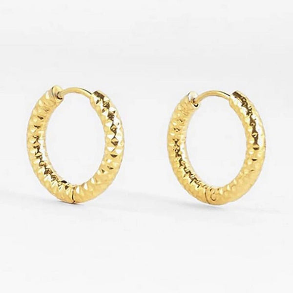 Find Hydra Hoop Earrings - Zag Bijoux at Bungalow Trading Co.