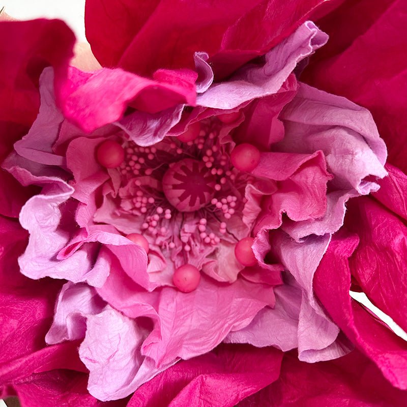 Find Large Poppy Paper Flower Pink - Nibbanah at Bungalow Trading Co.