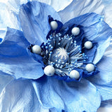 Find Large Poppy Paper Flower Soft Blue - Nibbanah at Bungalow Trading Co.