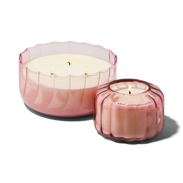 Find Ripple Glass Candle Desert Peach 12oz - Paddywax at Bungalow Trading Co.