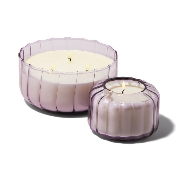Find Ripple Glass Candle Salted Iris 12oz - Paddywax at Bungalow Trading Co.