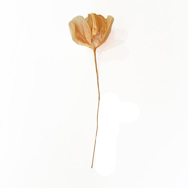 Find Small Moonshine Paper Flower Apricot - Nibbanah at Bungalow Trading Co.