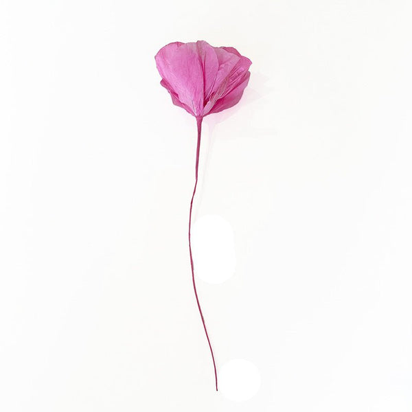 Find Small Moonshine Paper Flower Soft Pink - Nibbanah at Bungalow Trading Co.