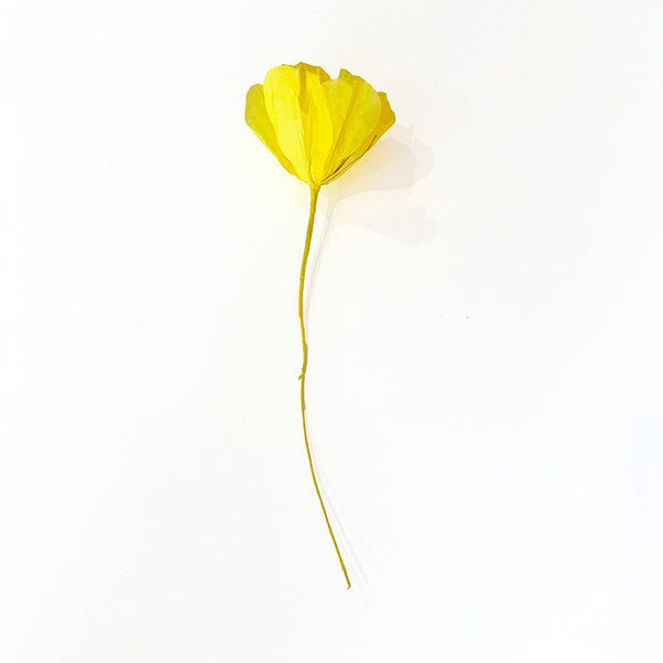 Find Small Moonshine Paper Flower Yellow - Nibbanah at Bungalow Trading Co.