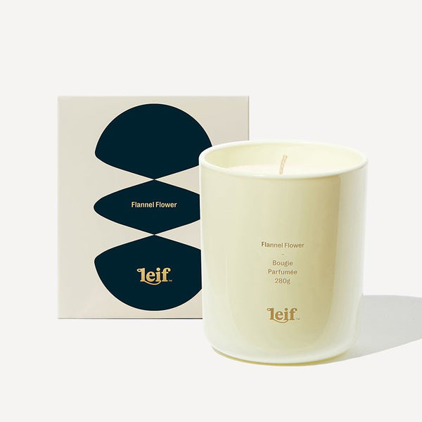 Find Flannel Flower Candle 280gm - Leif at Bungalow Trading Co.