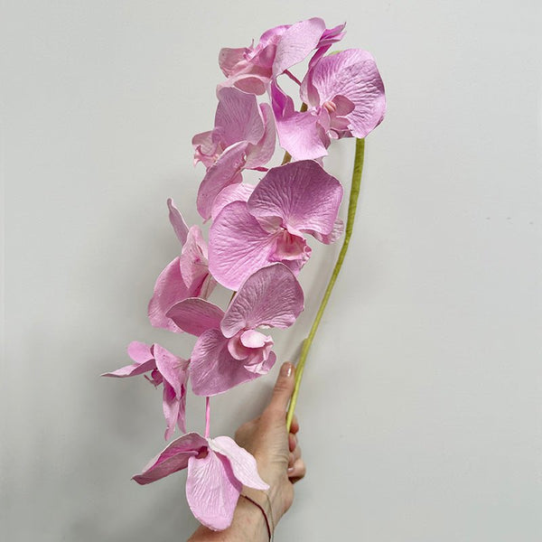 Find Paper Orchid Neon Pink - Bungalow Trading Co at Bungalow Trading Co.