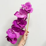 Find Paper Orchid Purple - Bungalow Trading Co at Bungalow Trading Co.