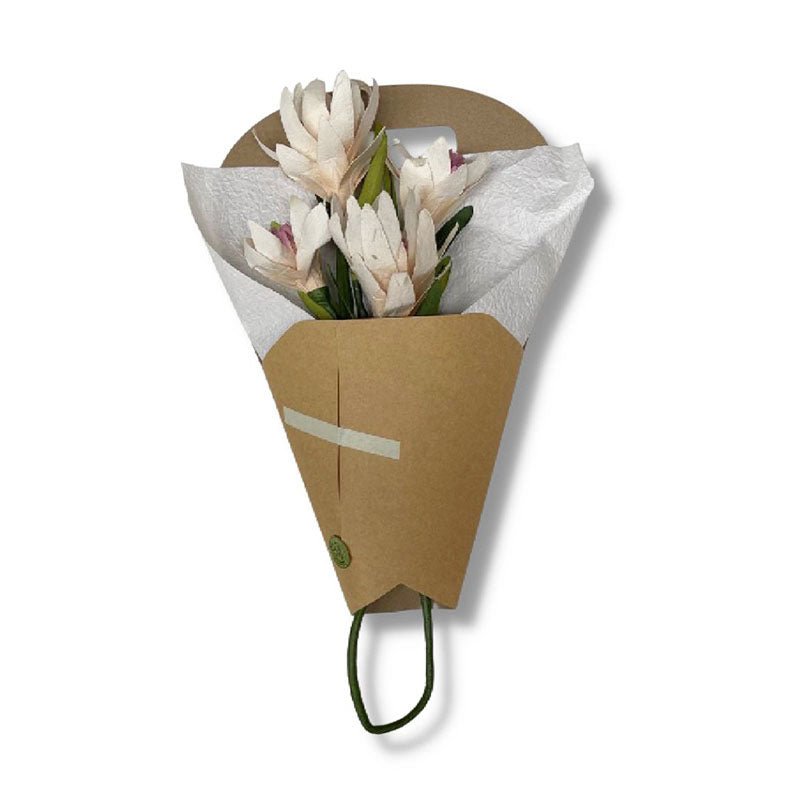 Find Paper Surruria Protea White - Bungalow Trading Co at Bungalow Trading Co.