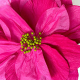 Find Sakura Paper Flower Magenta - Nibbanah at Bungalow Trading Co.