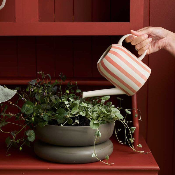 Find Watering Can Coral Stripe Plant Parent - Robert Gordon at Bungalow Trading Co.